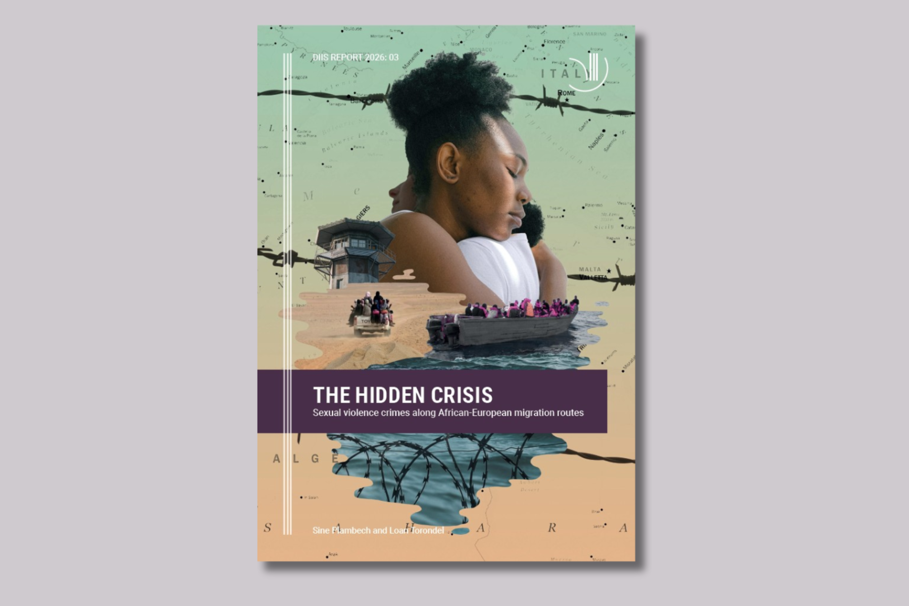 the-hidden-crisis-diis-report-cover