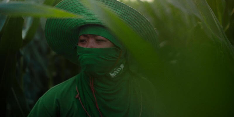 thai-women-migration